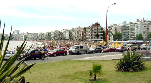 Playa Pocitos