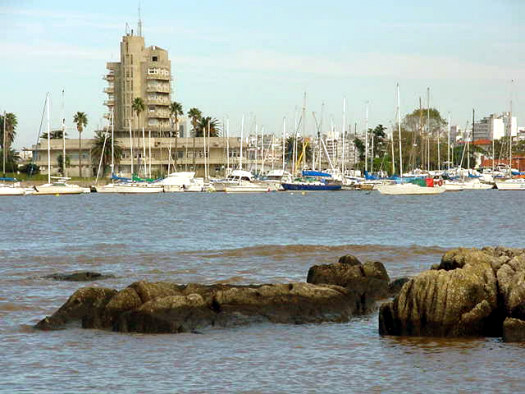 Puerto del Buceo