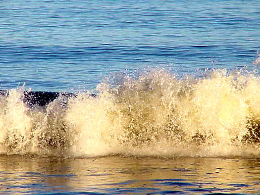 Playa sobre el Ro de la Plata