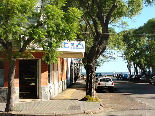 Calle Ro de la Plata entre Orinoco y Rambla O'Higgins