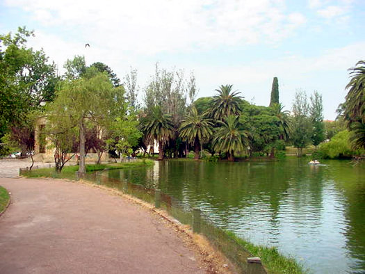 Paseando por Montevideo by Vince Alongi