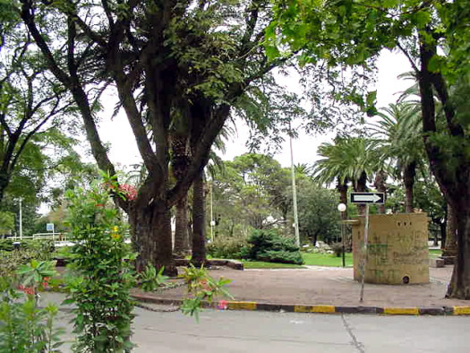 Plaza de los Olmpicos