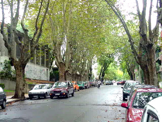 desde Berro hasta Ellauri