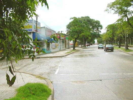 L.A. de Herrera esquina Lber Arce (Gral. Prin)