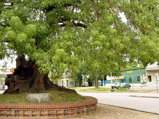 Navarro esquina Ramn Anador