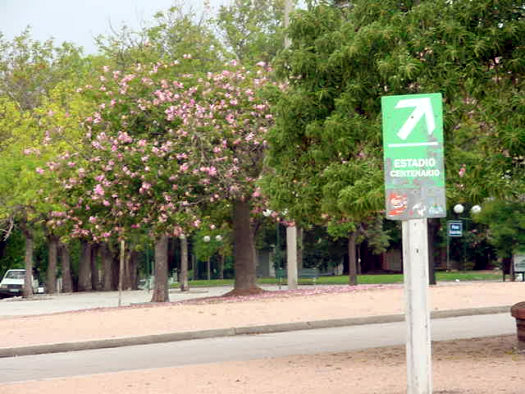 Ramn Anador esquina Av. Catalua