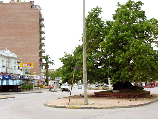 Ramn Anador esquina Av. Navarro