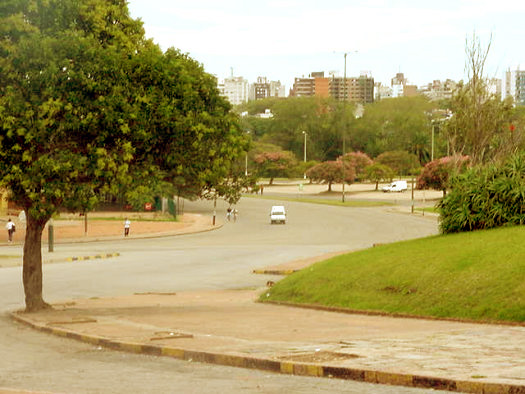 Av. F. Vidiela