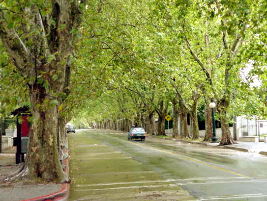 19 de Abril entre A. Berro y Gaetn