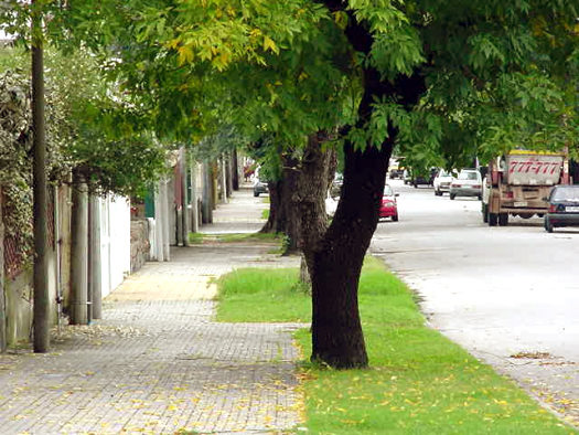 Mau entre Cno. Castro y R. Cceres