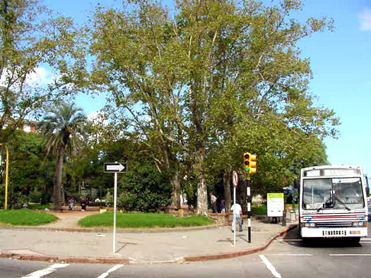 Av. Agraciada esquina Evaristo Ciganda