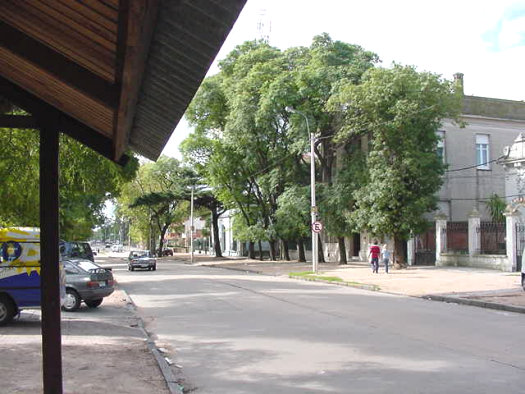 Av. Sarez entre Evaristo Ciganda y Grito de Asencio