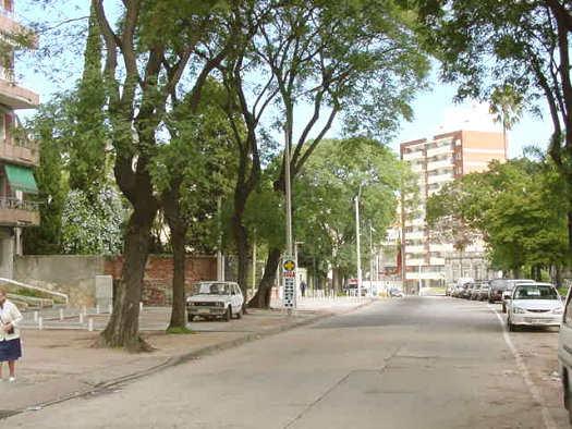 Av. Surez entre Evaristo Ciganda y Agraciada