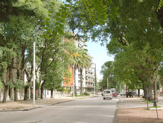 Av. Sarez entre Fiol de Pereda y Evaristo Ciganda