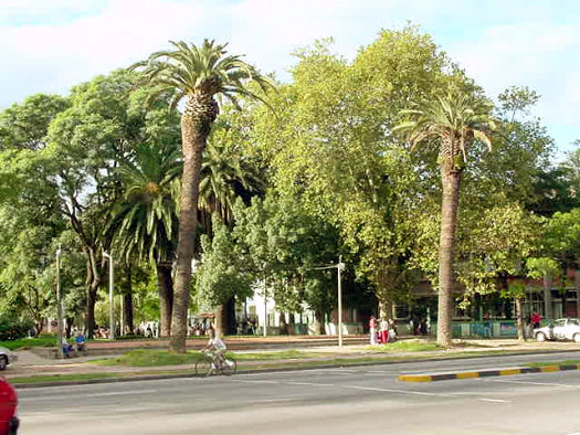 Blvr. Artigas esquina Garca Pea