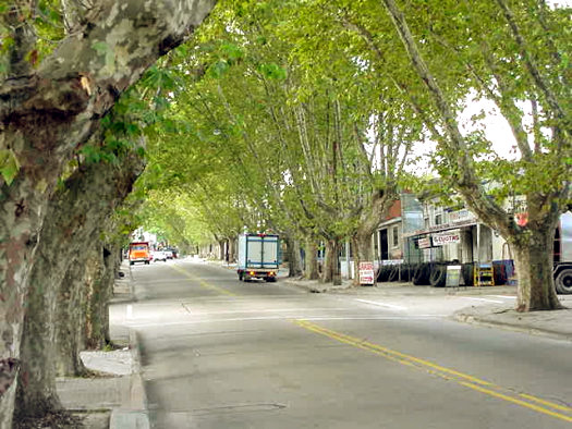 San Martn esquina Roberto Koch