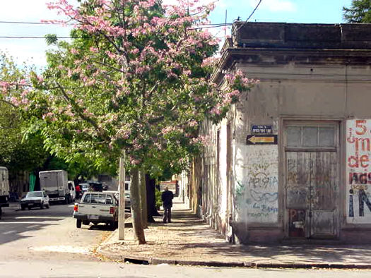 E. Compte y Riqu esquina Arequita