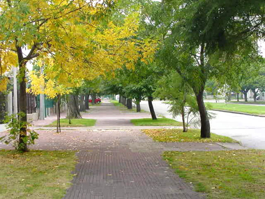 Larraaga entre Monte Caseros y Fray Bentos