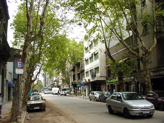 Ro Negro casi San Jos