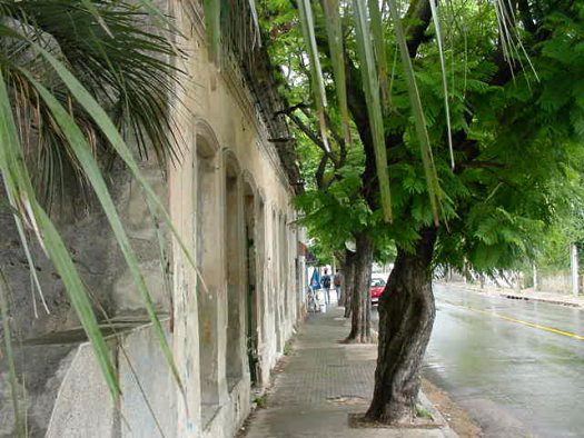 Av. Lucas Obes entre Olmedo y Agraciada