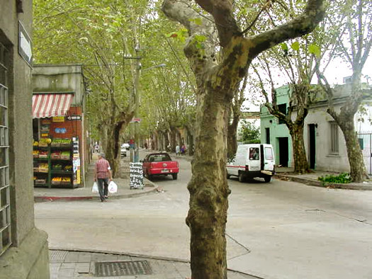 Cabrera esquina Gdor Viana