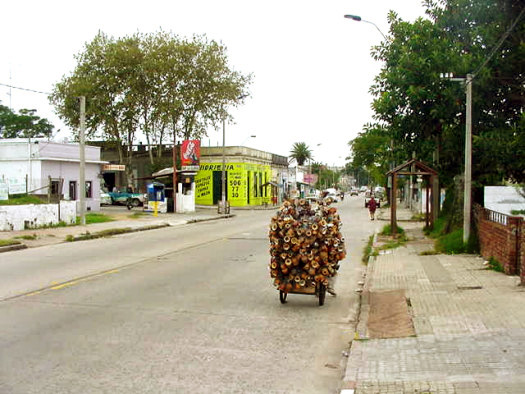 Cno. Carrasco casi Arcas