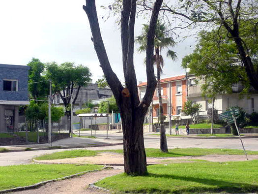 Damaso Larraaga esquina Pernas y Claramunt