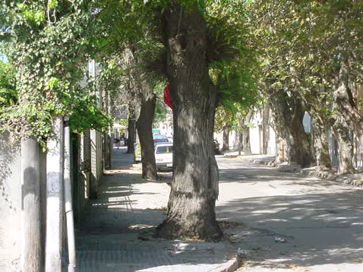 entre Avellaneda y Fray Bentos