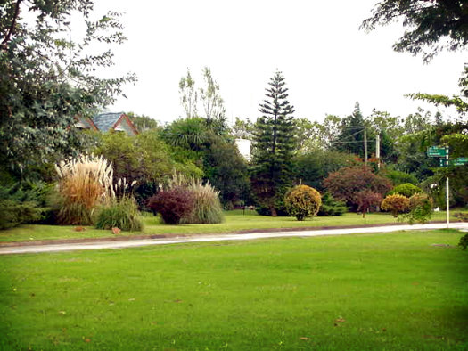 E. Blanco Acevedo esquina Espinola