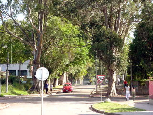 Calle Raz desde Amandau