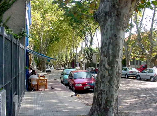 casi Ros