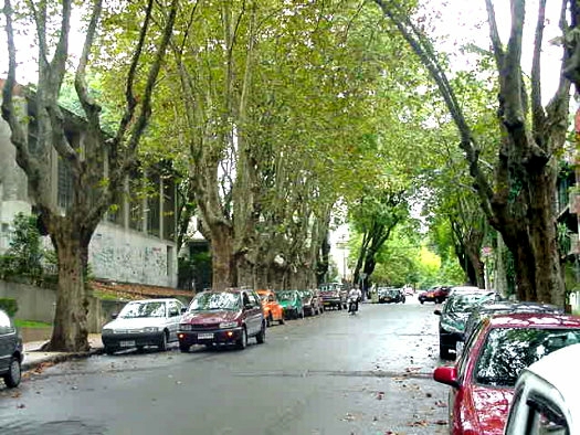 desde Berro hasta Ellauri