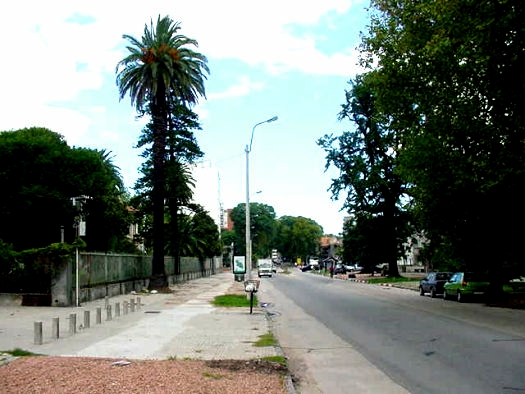 Av. S�arez entre Gral. E. Mart�nez y Grito de Asencio