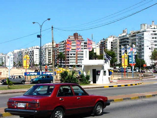 Buxareo
