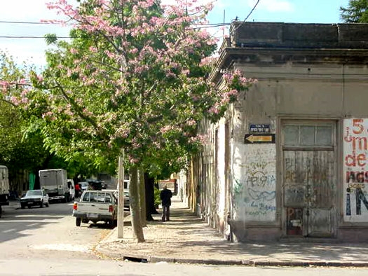 E. Compte y Riqu� esquina Arequita