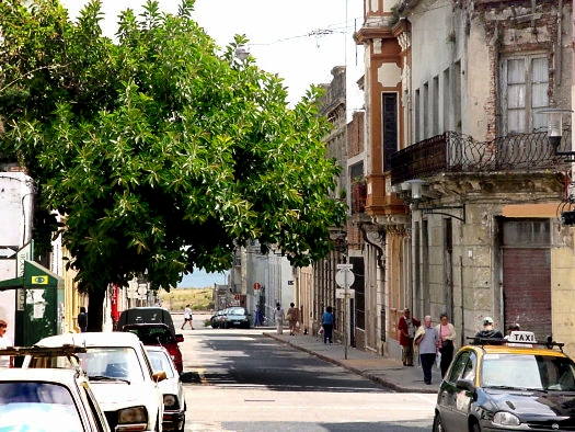 Calle Washington