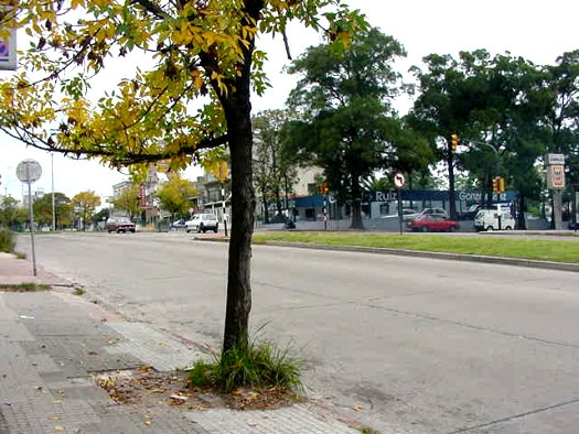 Blvr. Batlle y Ordo�ez (Propios) casi Monte Caseros