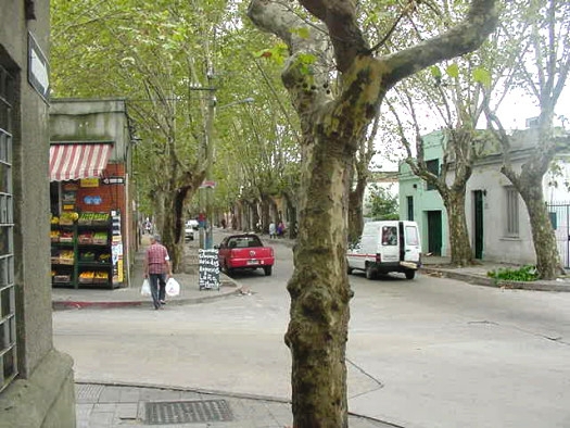 Cabrera esquina Gdor Viana