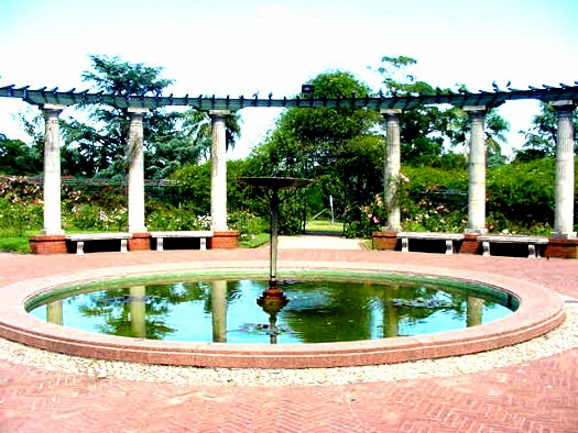 Rosaleda