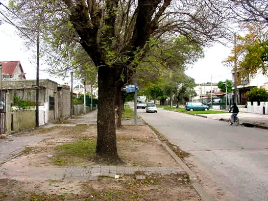 entre Tunez y Purificaci�n
