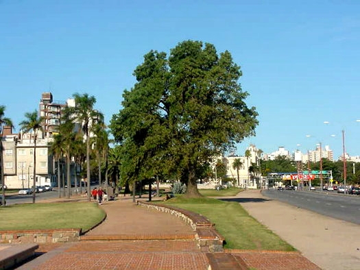 Rbla. Rep�blica Argentina y Eduardo Acevedo